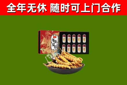 大邑县回收冬虫夏草价格